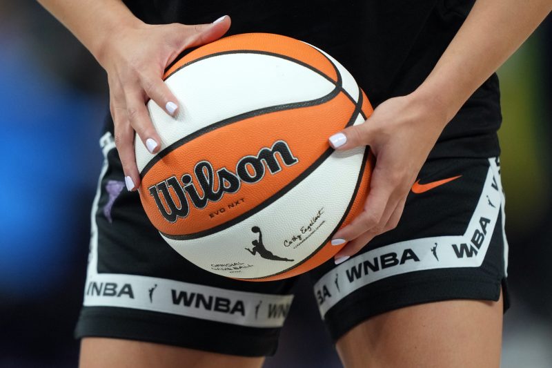 WNBA’s Portland Fire hire first head coach